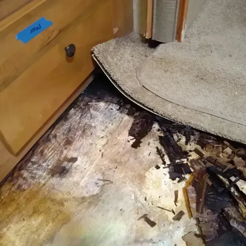 Wood Floor Water Damage in Derwood, MD